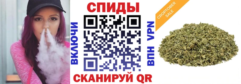 БУТИРАТ BDO 33%  Кингисепп 