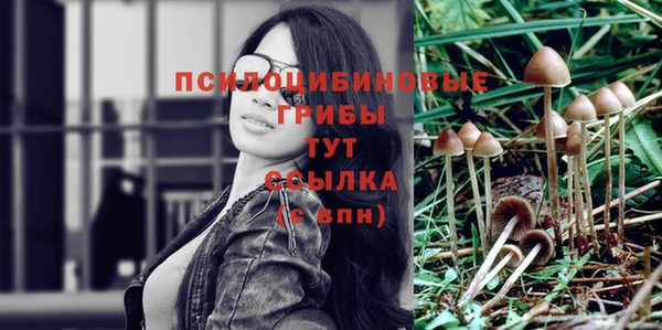 синтетический гашиш Белокуриха